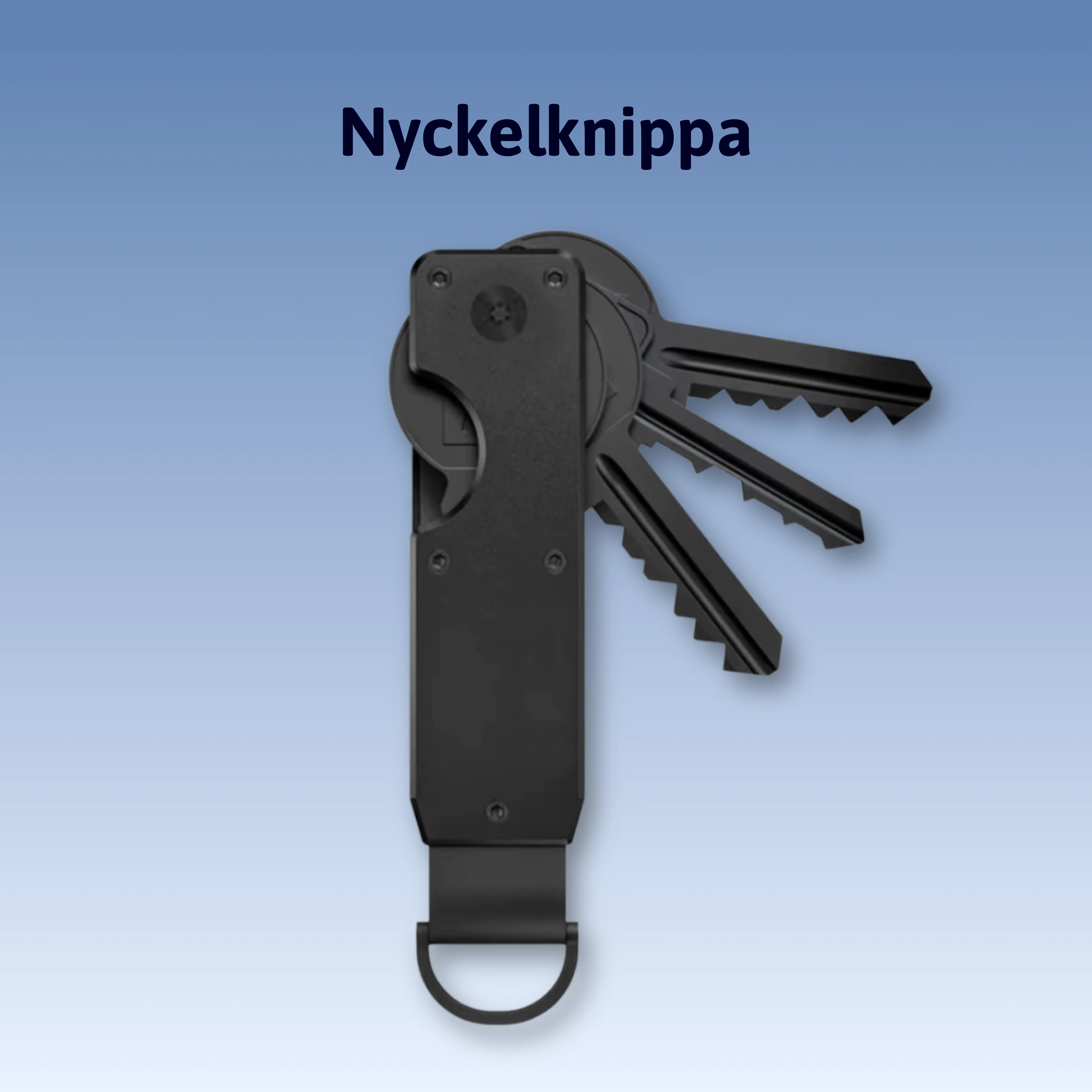 Miniatyrbild 1